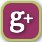 Google Plus