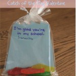 fish vday gift