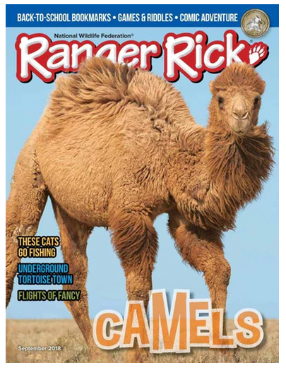 Ranger Rick Magazine - 44% off the Cover Price 