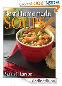 best homemade soup book