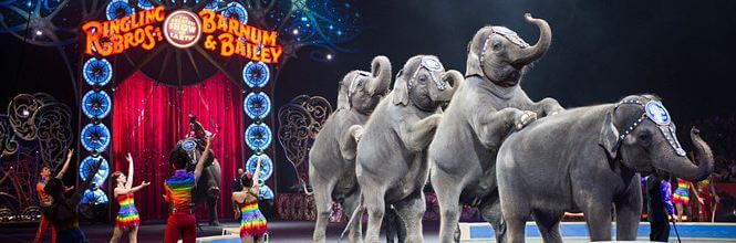 Ringling Bros. and Barnum & Bailey Circus 