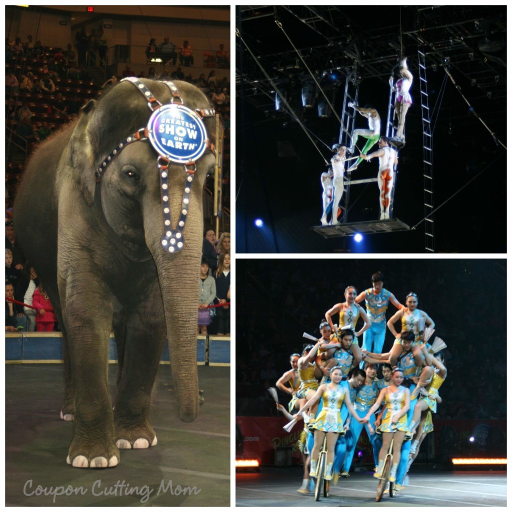 Ringling Bros. and Barnum & Bailey LEGENDS Review and Ringmaster Zone Experience