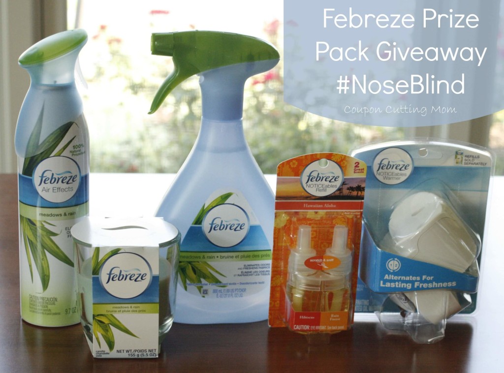 Are You Noseblind? Febreze #Noseblind Challenge + Giveaway
