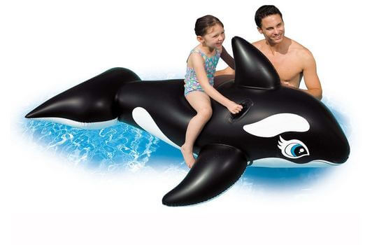 whale ride on