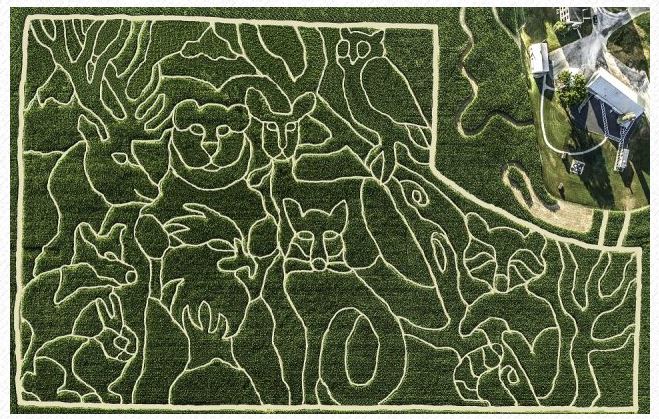 Oregon Dairy Corn Maze Admission Savings - 50% Off Regular Price