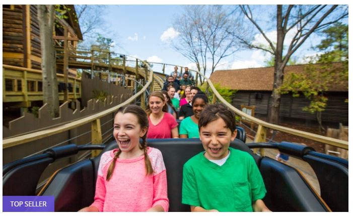 Busch Gardens Williamsburg & Water Country USA 50% off Regular Ticket Price