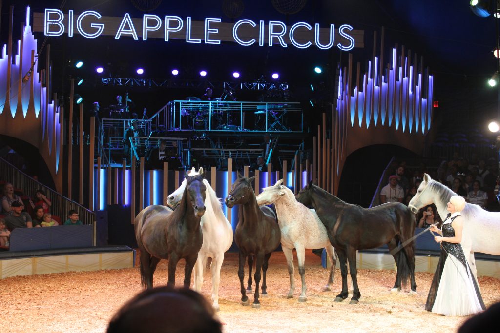 Big Apple Circus Philadelphia, PA - Review and Discount Admission Tickets