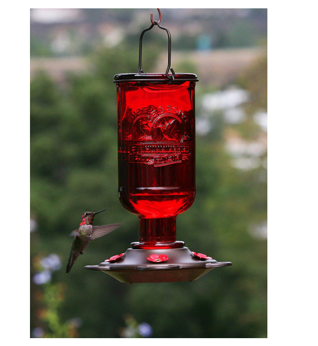 Glass Hummingbird Feeder - 55% Off Regular Price 