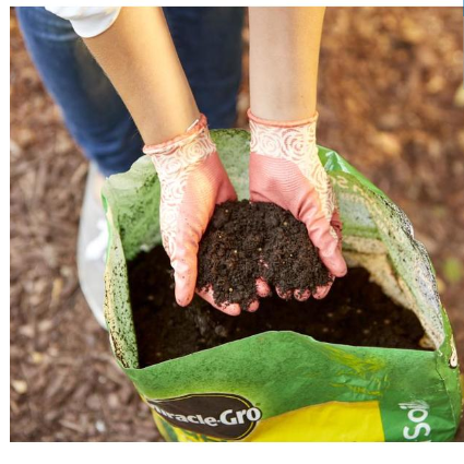 Miracle-Gro All Purpose Garden Soil ONLY $2 (Regular Price $4.28)