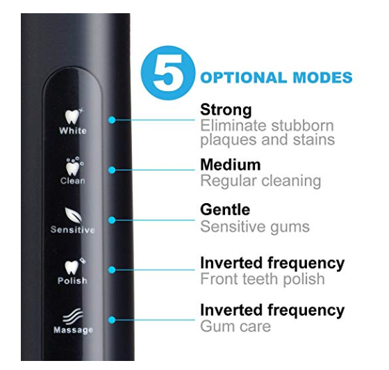 Electric Rechargeable Sonic Toothbrush Only $15.76 - Regular Price $25.95