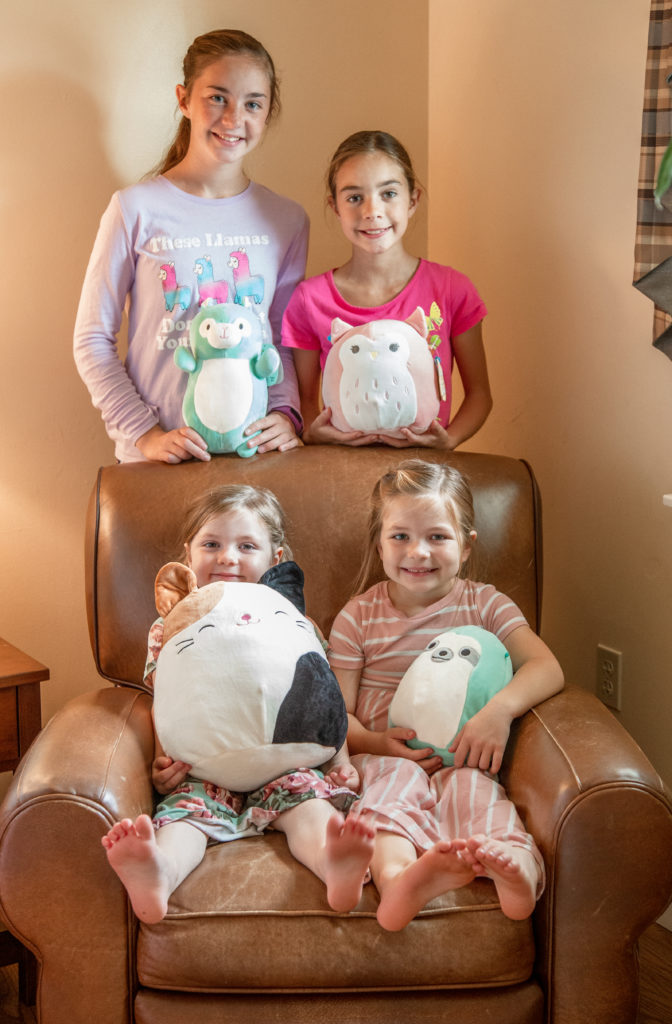 Squishmallows - Adorable Super Soft Marshmallow Like Plush Toys